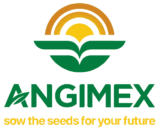 Angimex