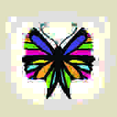 Butterfly Hub