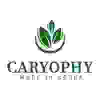 Caryophy Việt Nam