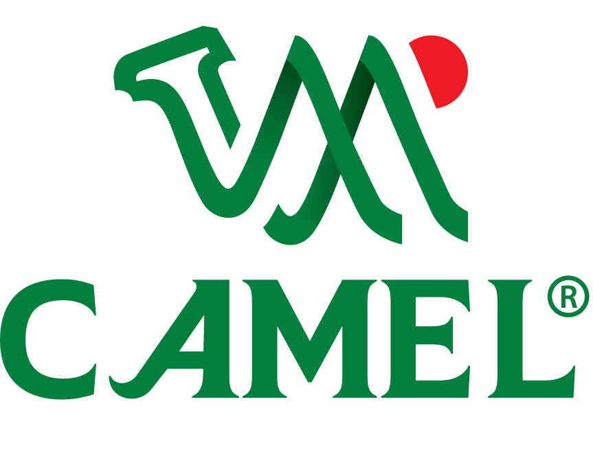 Công ty Beer Camel