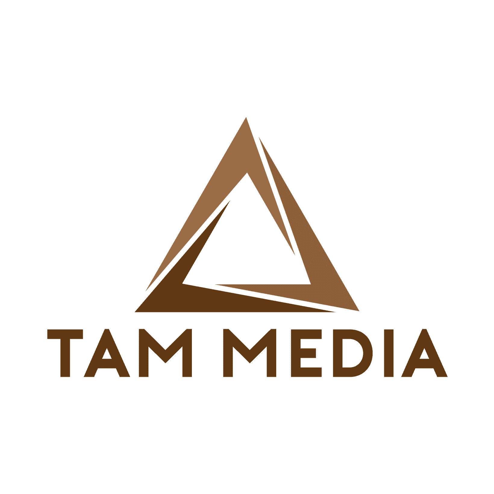 CÔNG TY CỔ PHẦN GIẢI PHÁP TRUYỀN THÔNG TAM MEDIA