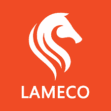 Công Ty Cổ Phần Phần Mềm Lameco Jsc