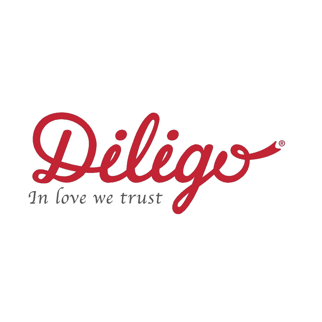 Diligo Việt Nam