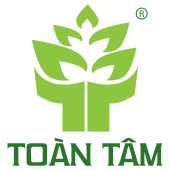 Công ty TNHH Dịch vụ Toàn Tâm