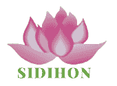 Sidihon Investment Việt Nam