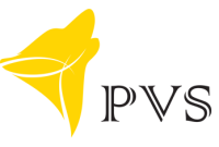 CÔNG TY TNHH VIỄN THÔNG PVS & CÔNG TY TNHH PHẦN MỀM PVS - (VIẾT TẮT PVS)