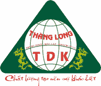 Kiểm Toán Và Định Giá Thăng Long TDK