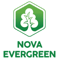 Nova Evergreen