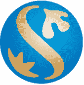 SHINHAN DS