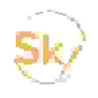 Sky Agency