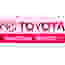 Toyota Financial Services Vietnam