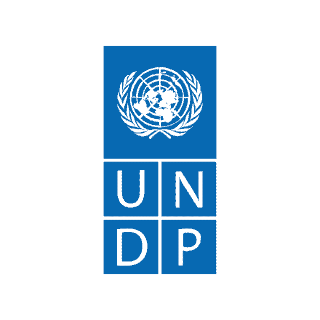 Undp