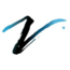 VISION Advisory & Analytics