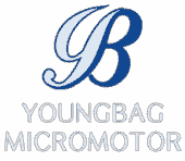 YOUNGBAG MICROMOTOR VIỆT NAM